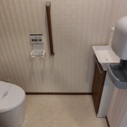 1階トイレ / ( 内装 )