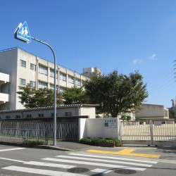 八田荘中学校 / ( 周辺 )