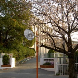 第四中学校 / ( 周辺 )