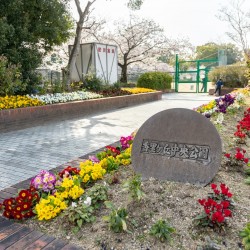 香里ヶ丘中央公園 / ( 周辺 )