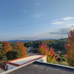 眺望 / ( その他 )